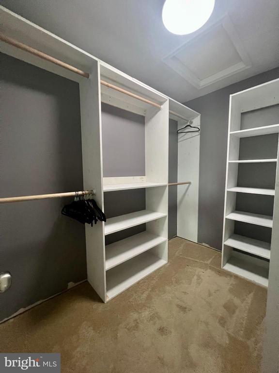 Building Photo - 1155 Carinoso Cir