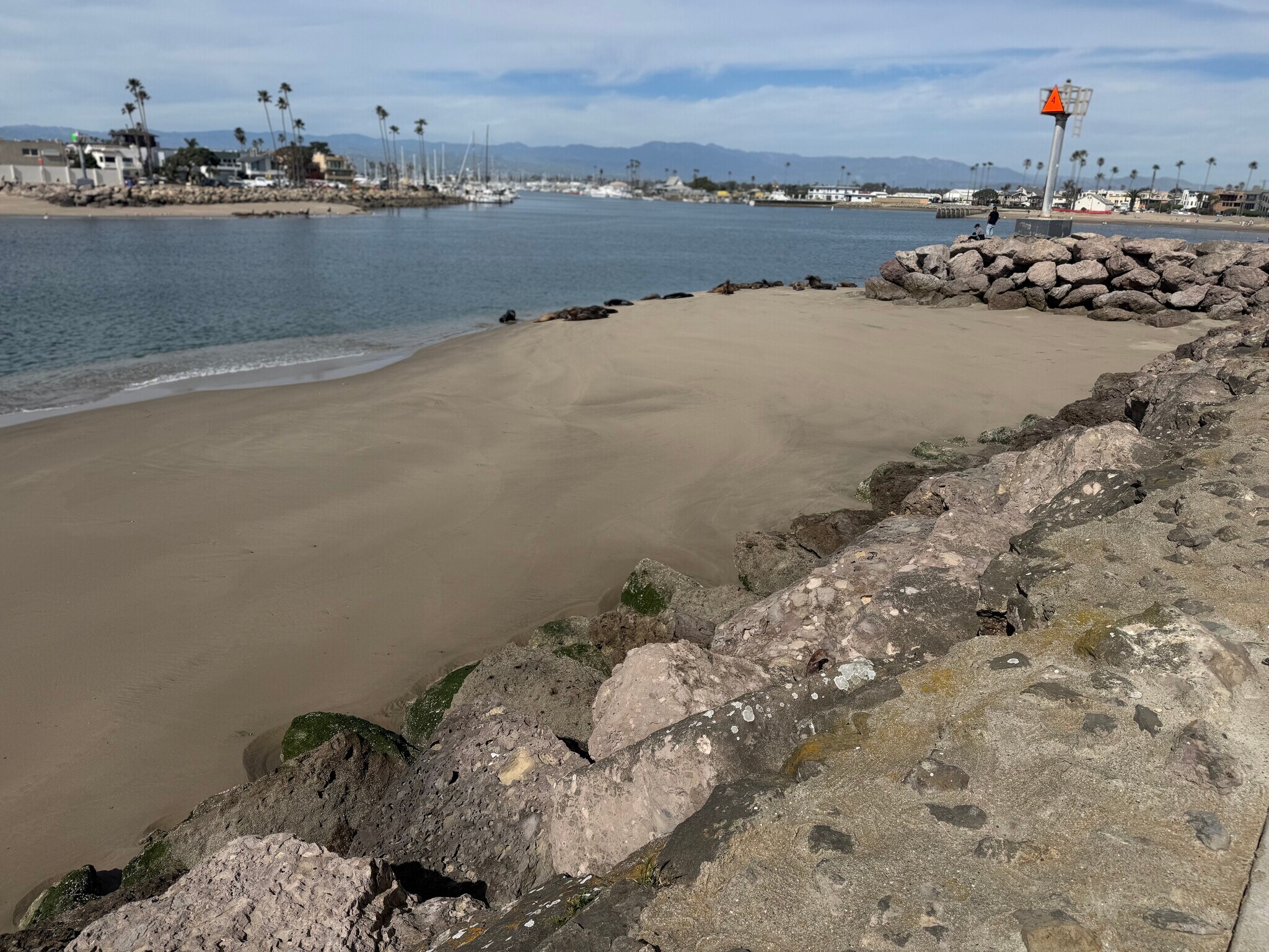 Building Photo - 328 Lakeshore Dr