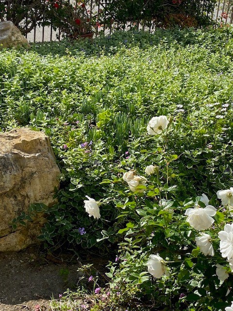 Building Photo - 3200 La Rotonda Dr