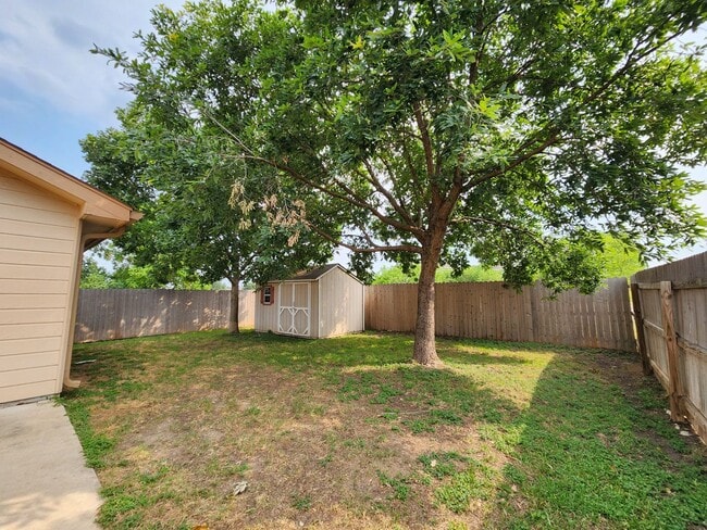 Building Photo - No Carpet / Storage Shed / Back Patio  /  ...