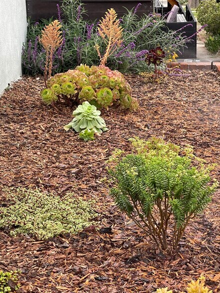 Building Photo - 3552 Sierra St