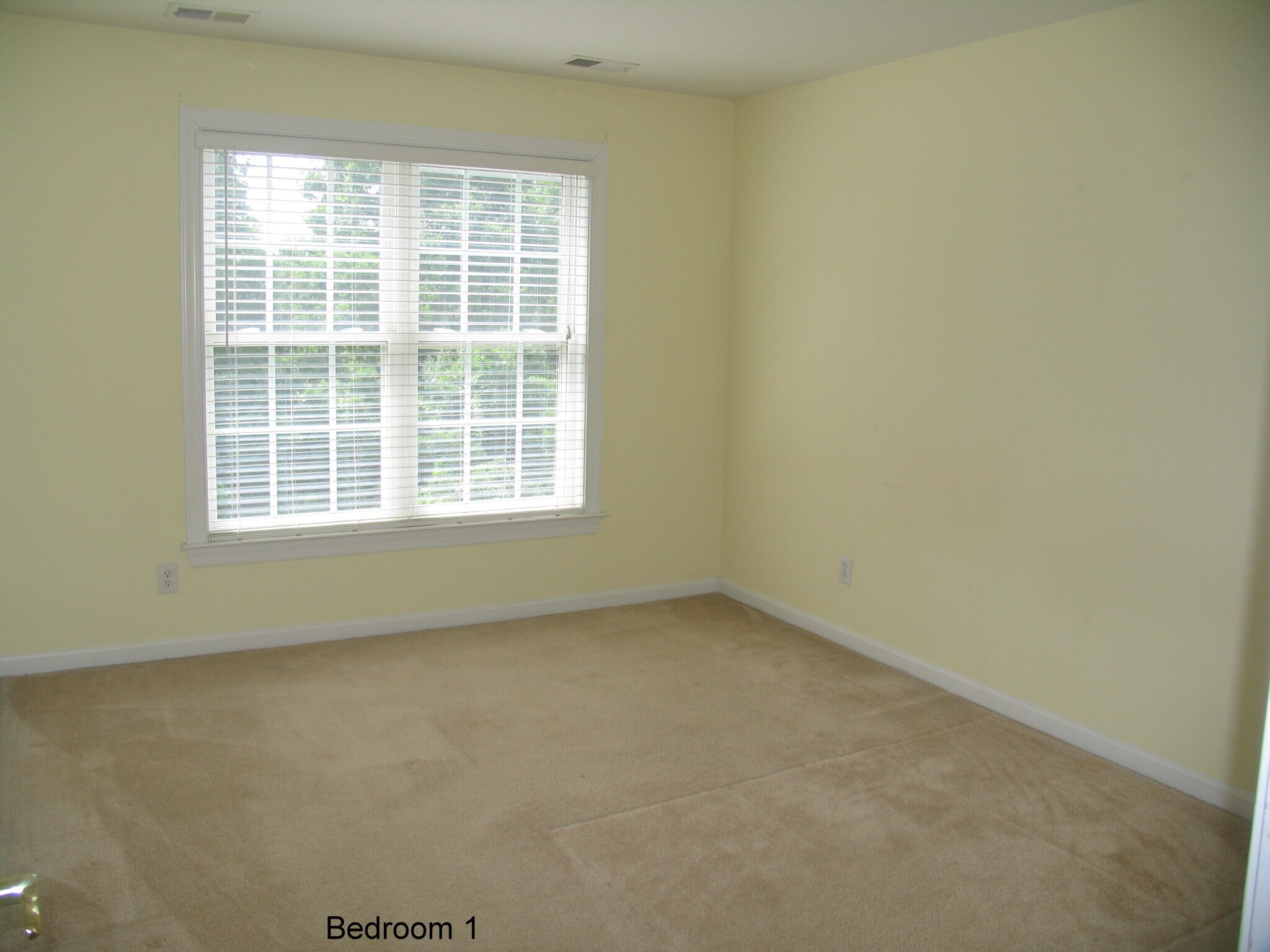 Building Photo - 2812 River Willow Dr