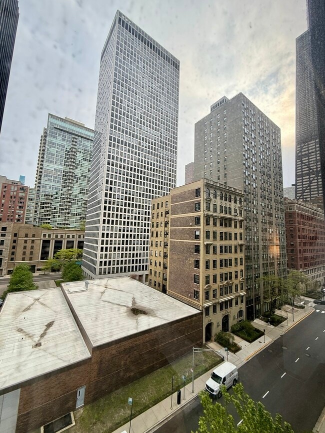Building Photo - 900 N Lake Shore Dr