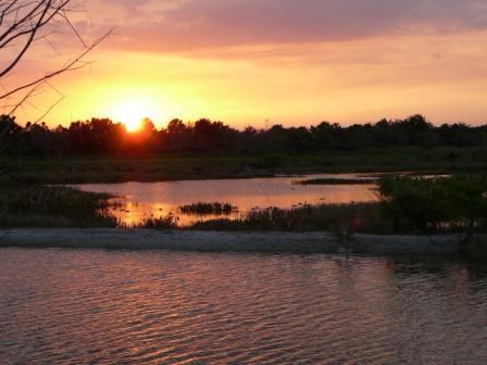 Building Photo - 8158 Rosalie Ln