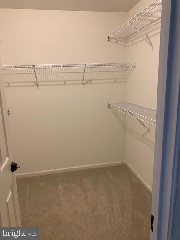 Building Photo - 11519 Waterhaven Ct