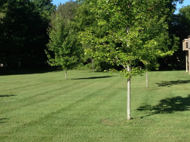 Building Photo - 488 60th St SE