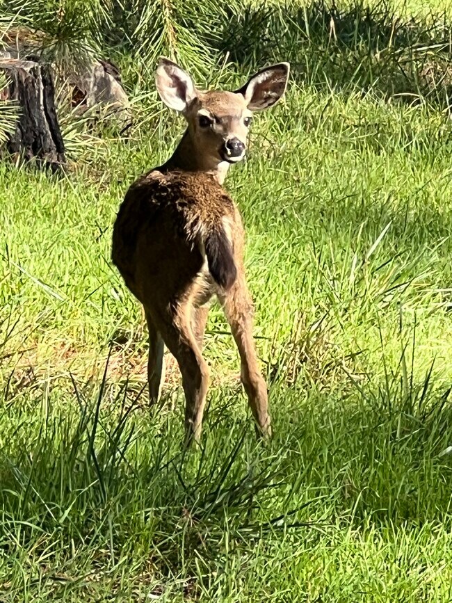 Building Photo - 3600 Bloomfield Rd