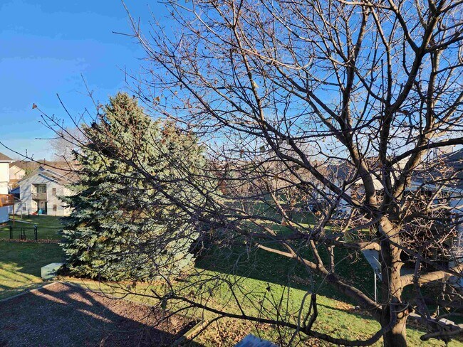 Building Photo - 3076 Selkirk Dr
