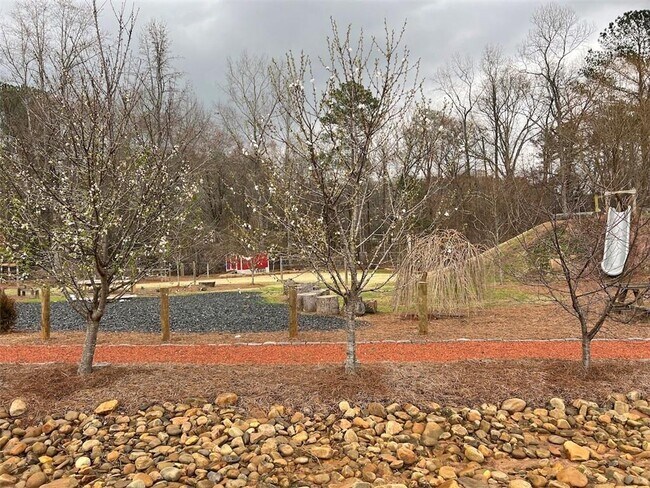 Building Photo - 3864 Light Farms Wy