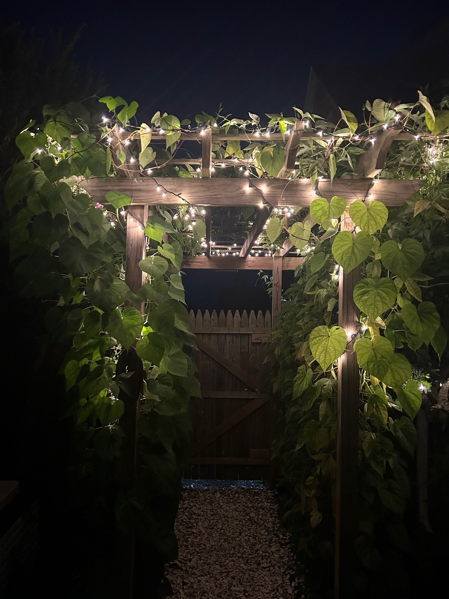 lighted trellis entrance into fenced yard - 30 Ninigret Ave