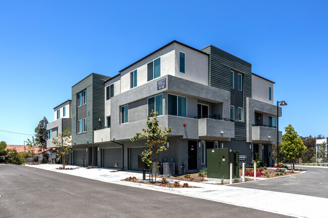 Building Photo - Ascent at Campus of Life Phase II