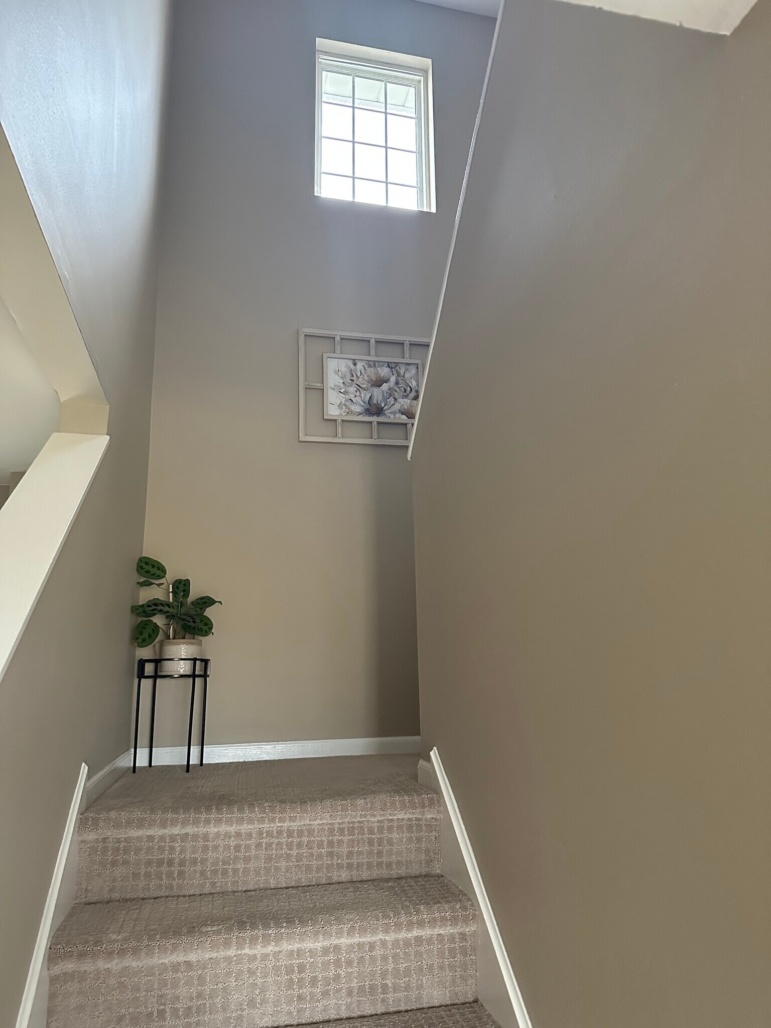 Building Photo - 102 Chancellor Ct