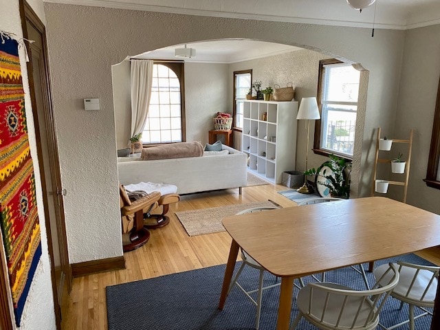 Living Room - 5047 44th Ave S