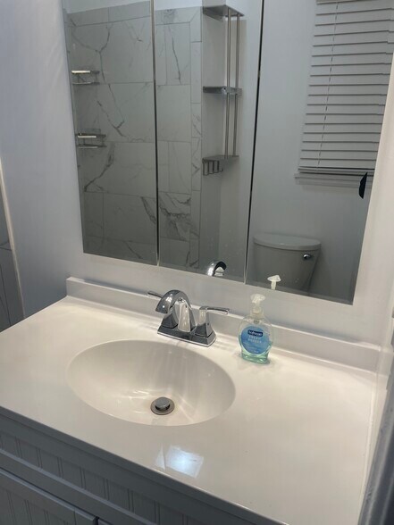 Main bathroom (2) - 1208 W 81st Pl