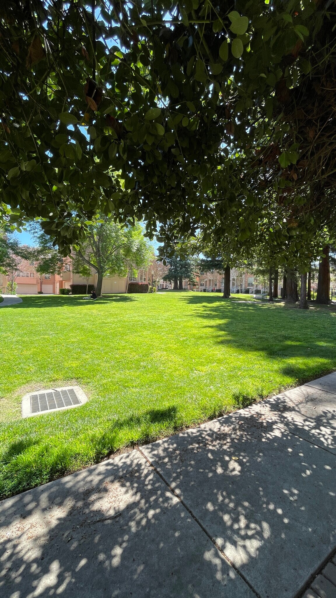 Building Photo - 2255 Showers Dr