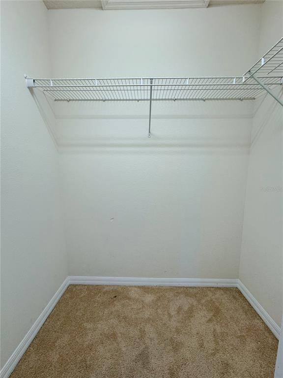 Building Photo - 2428 Chateau Lp