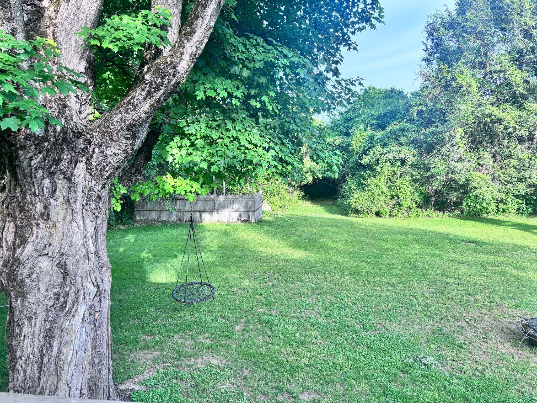 Backyard - 107 Rocky Hill Rd