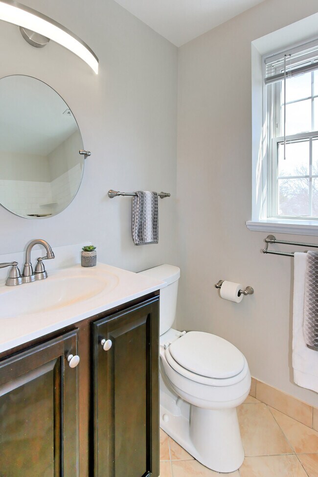 Bathroom updated with new lighting, mirror, medicine cabinet and fan - 2873 S Buchanan St