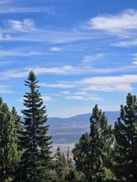 Building Photo - 332 Quaking Aspen Ln