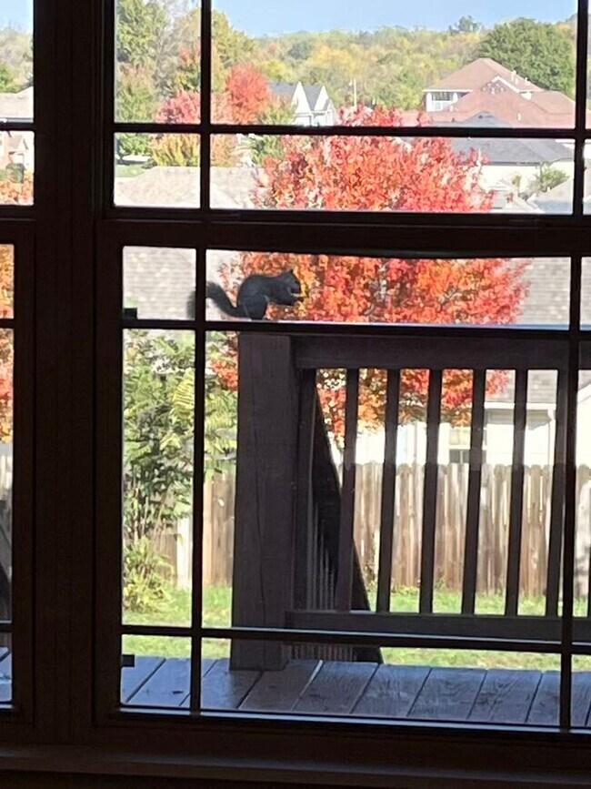 Building Photo - 5 bedroom and 3 bathroom two level house