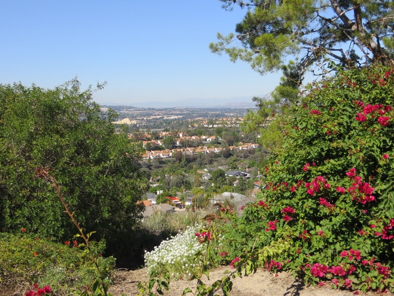 Beautiful view from HOA park - 30061 Whitecap
