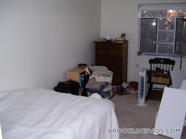 Building Photo - 50 Alton Pl