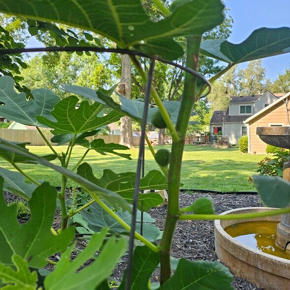 Building Photo - 5711 Maywood Ave