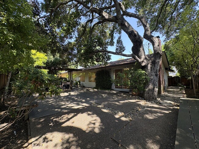 Building Photo - Stunning 4-Bedroom Home with Pool, Solar P...