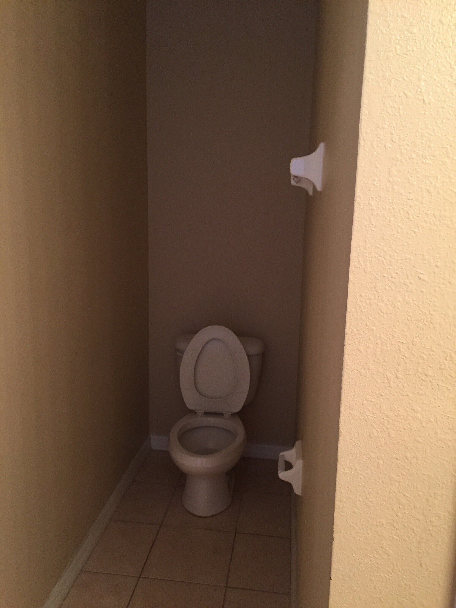 Masters toilet - 4045 Pemberly Pines Cir