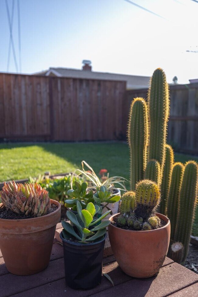 Building Photo - 3276 Andora Dr