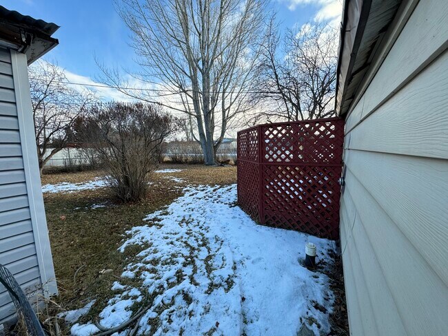Backyard - 110 Elm St
