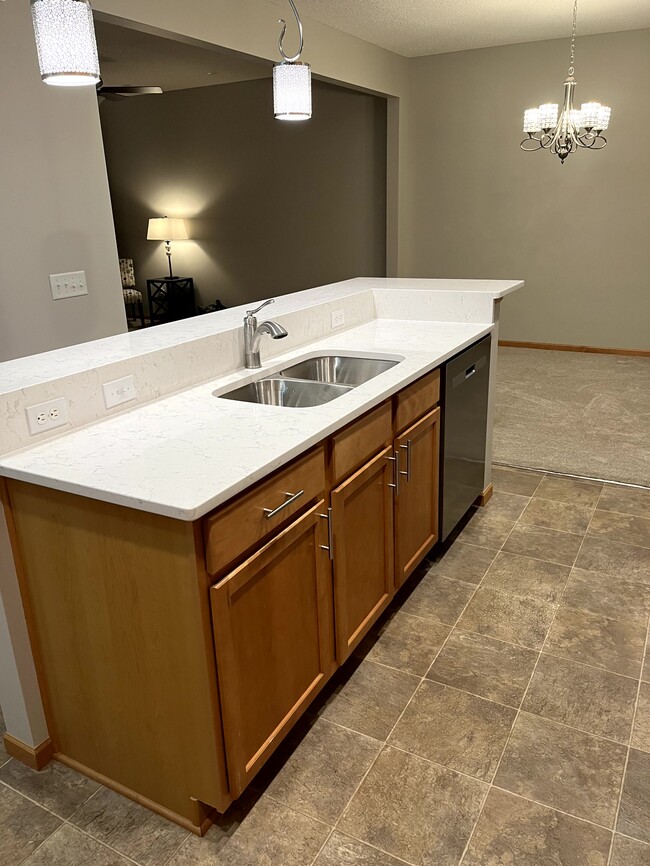 New Quartz Counters, sink & Dishwasher - 3314 Hazel Trl