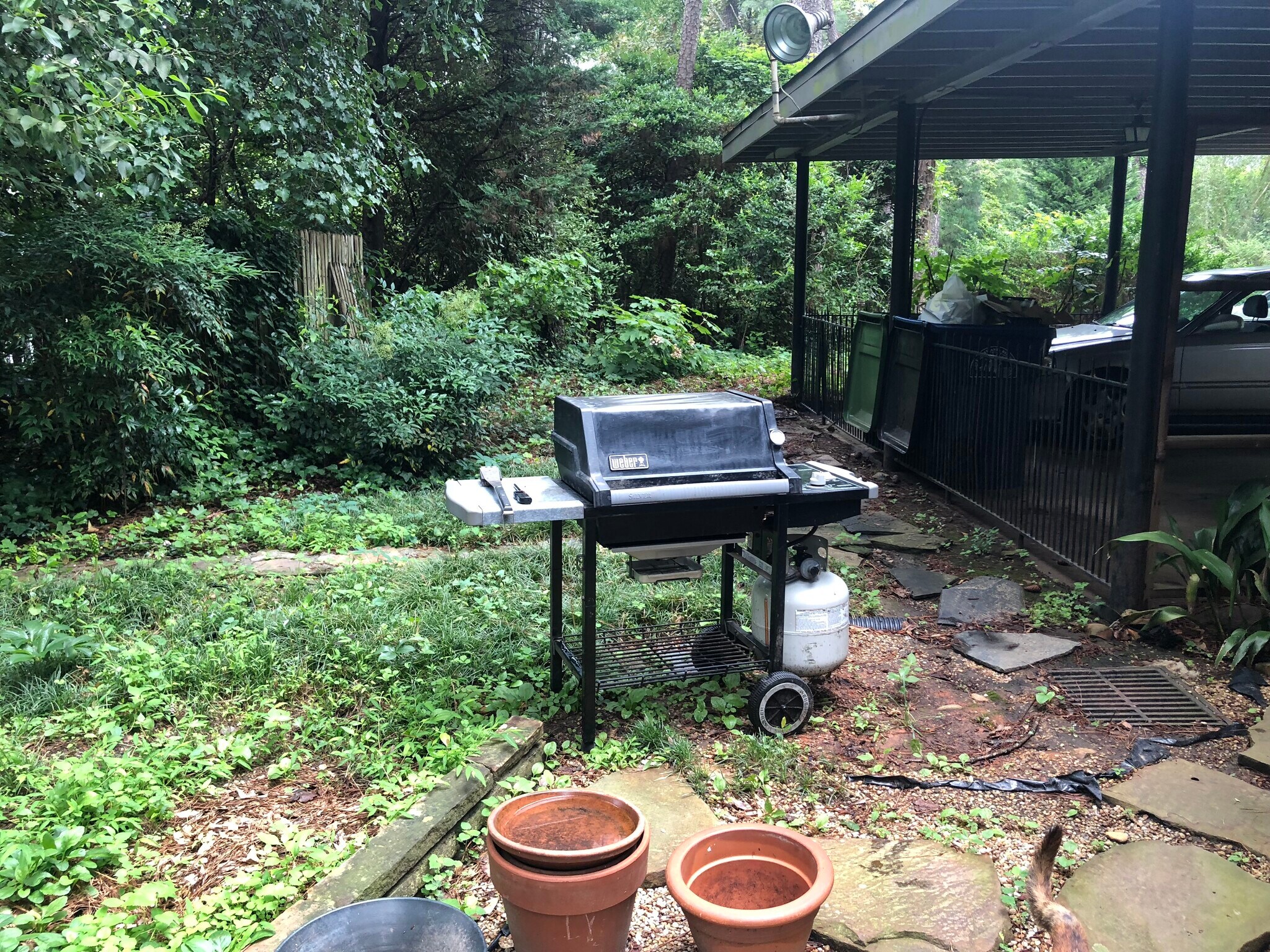 Building Photo - 796 Wesley Dr NW