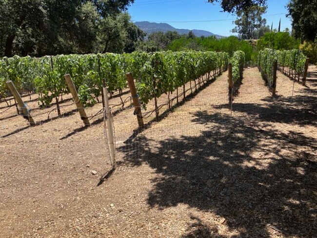 Building Photo - Lost Creek Upper Ojai