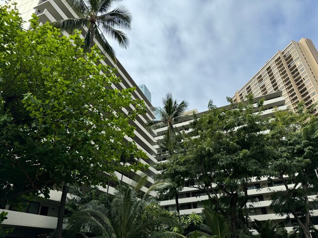Primary Photo - Fully-Furnished One Bedroom in Waikiki