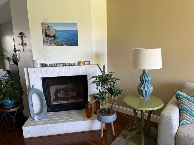 Fire Place - 817 America Way