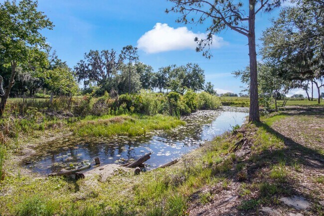 Building Photo - Ranch on 6 Acres