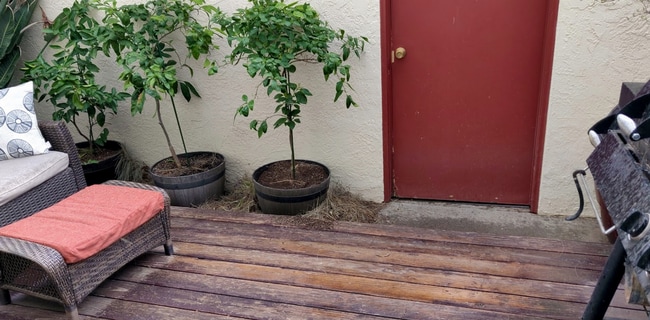 Building Photo - Town Home in South Davis!