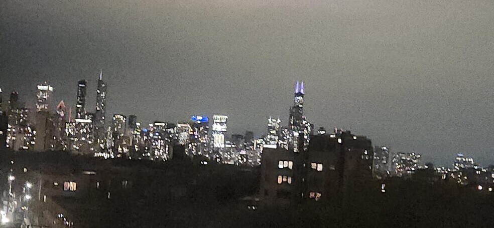 South, skyline view - 607 W Wrightwood Ave