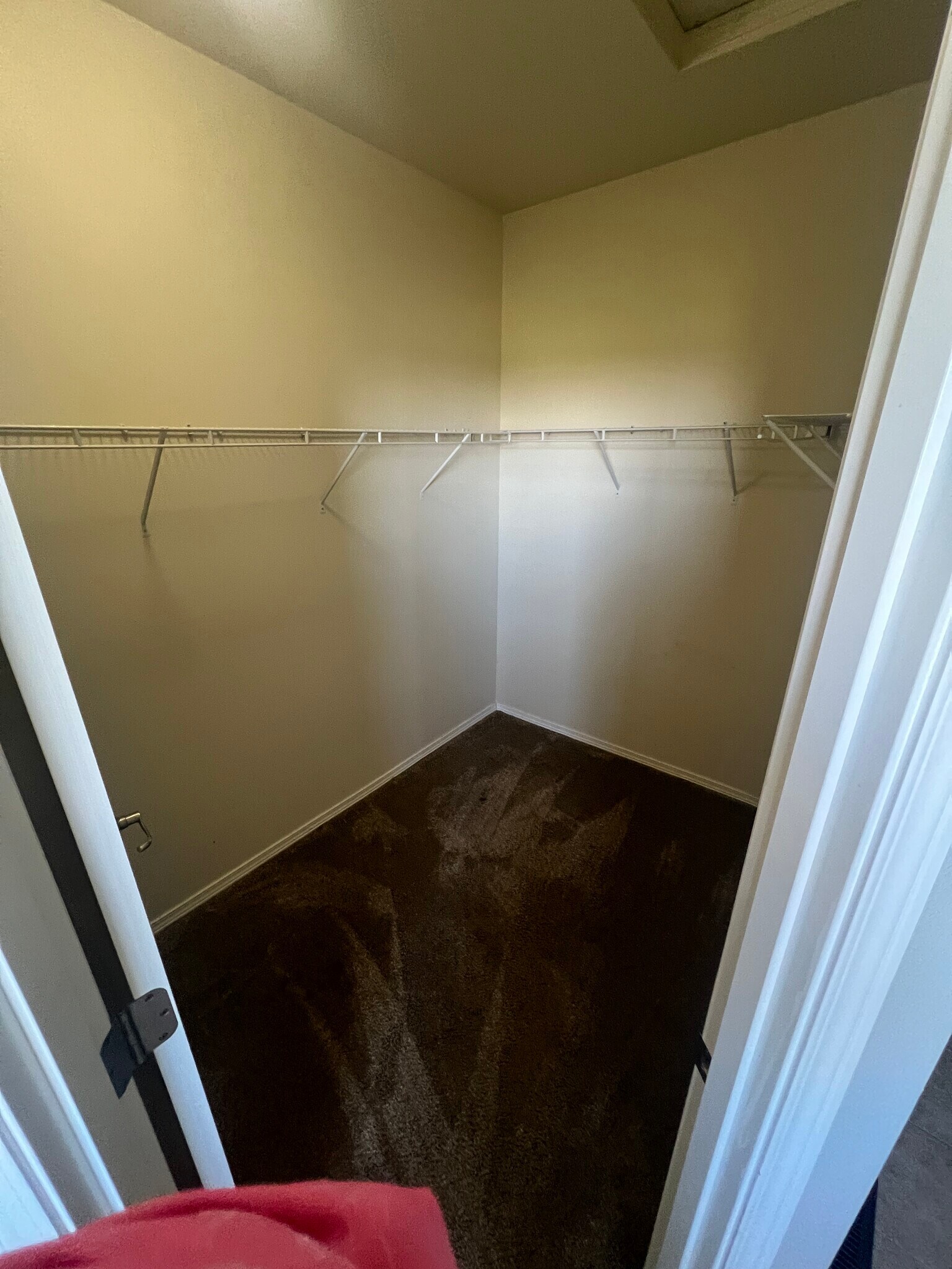 Walk in closet - 3601 Lanyard Dr NE