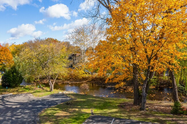 Building Photo - 154 Cold Spring Rd