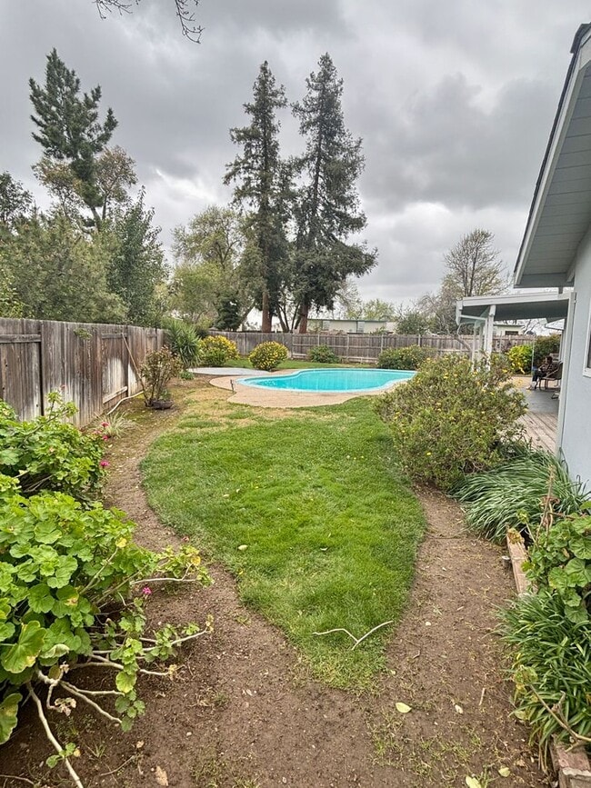 Building Photo - Honey-Stop The Car! This house has it all! 3/2 with Pool!!!  Please read entire ad for viewings!