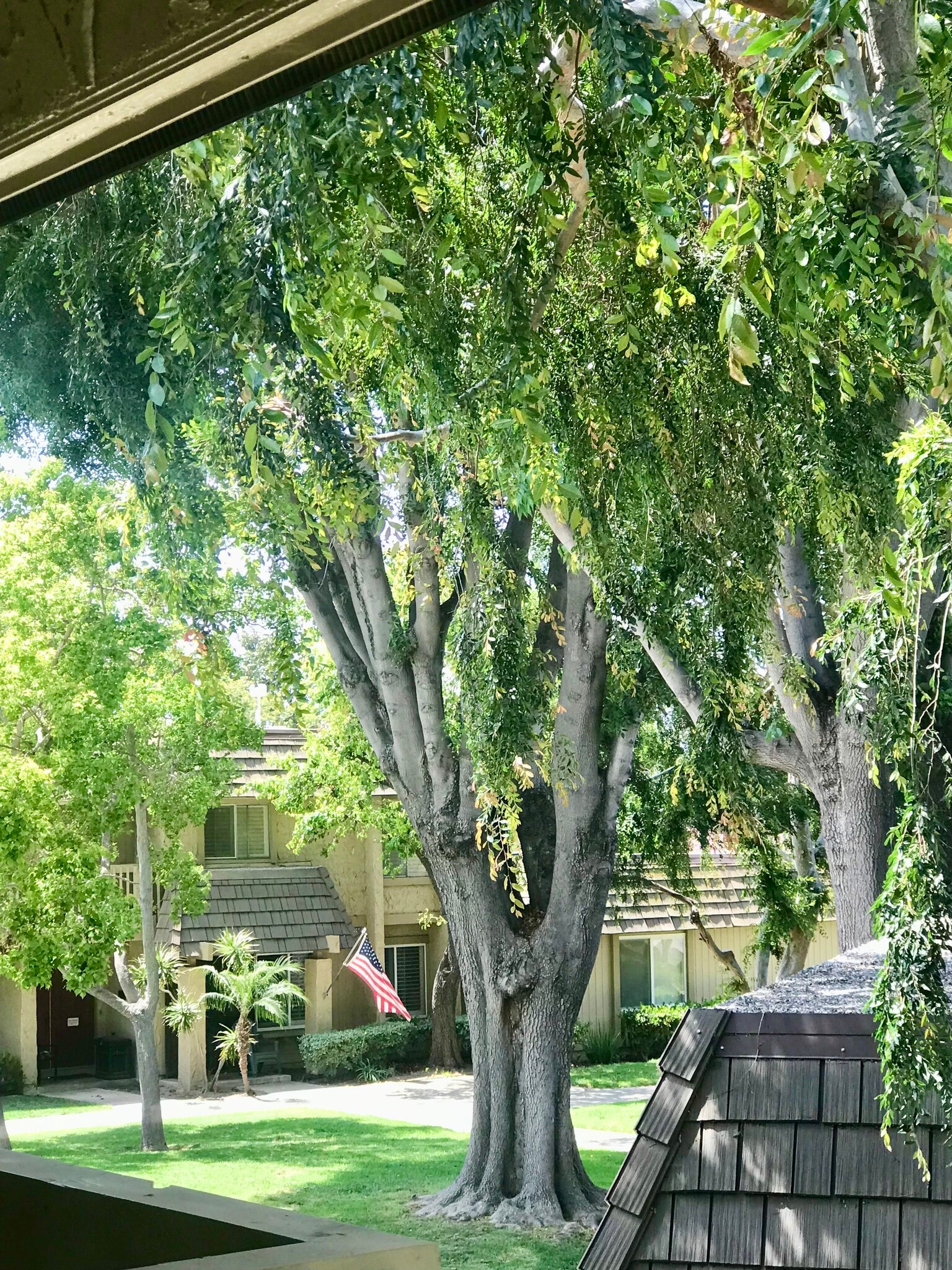 Building Photo - 10325 Elk River Ct