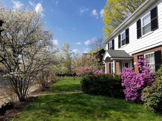 Building Photo - 269 Waltham St