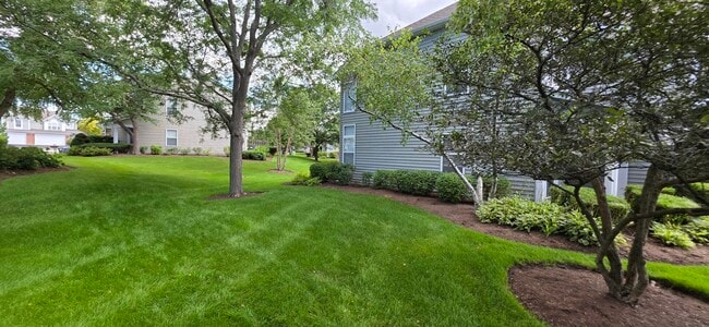 Building Photo - 1561 E Chivalry Ct