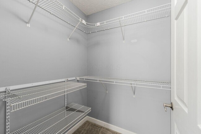 Building Photo - 5179 Mantua Dr
