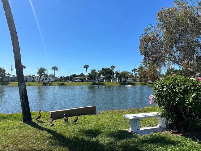 Building Photo - "Charming 2-Bed, 2-Bath Retreat in Nokomis!"