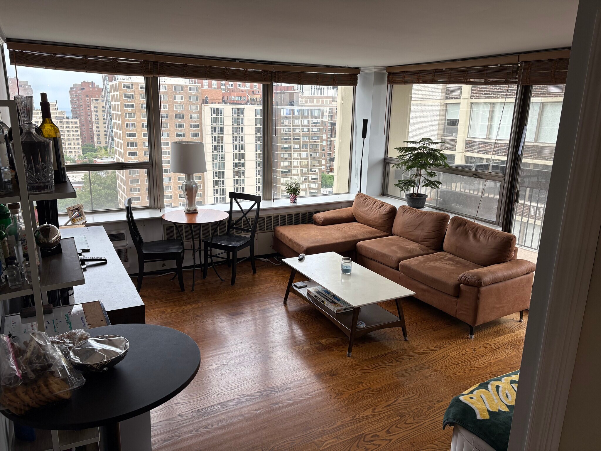 living - 1360 N Sandburg Ter