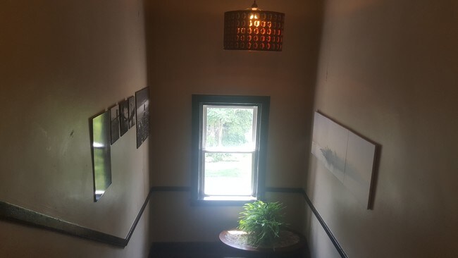 Building Photo - 7536 Dunedin St