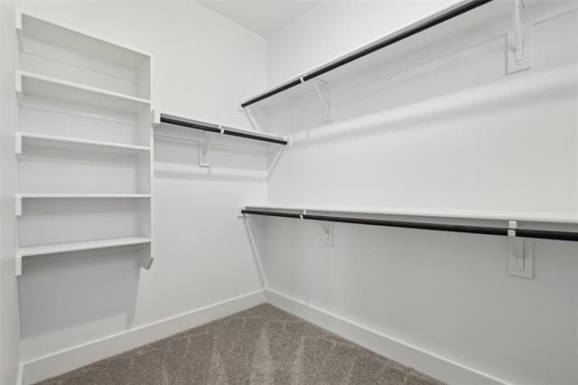 Building Photo - 3155 Winter Rose Way